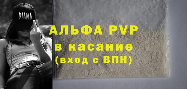 СК Касимов