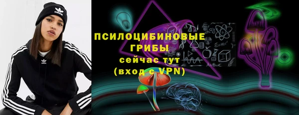 СК Касимов