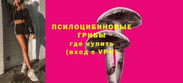 СК Касимов