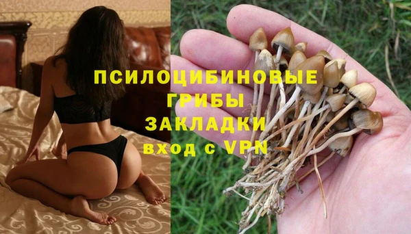СК Касимов